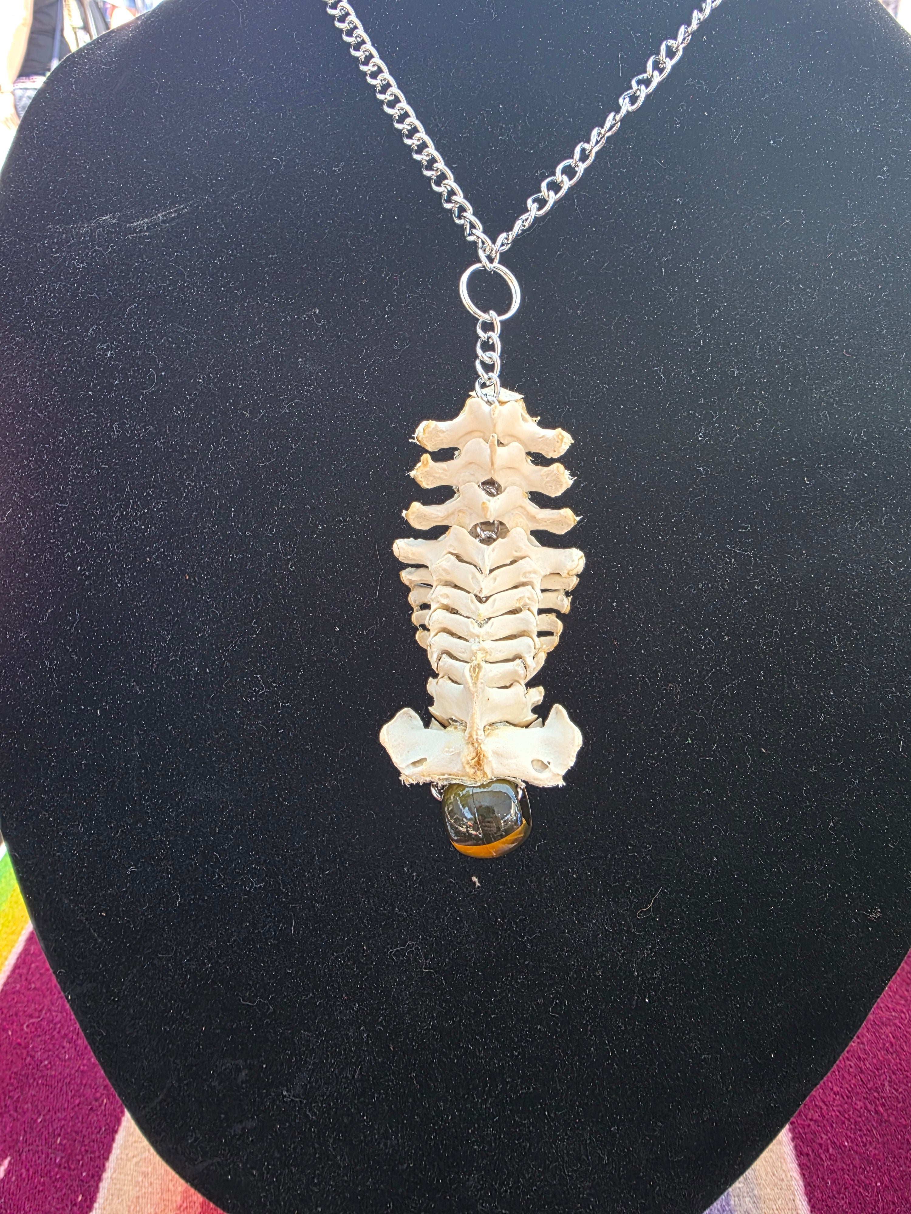 Groundhog Spine Necklace
