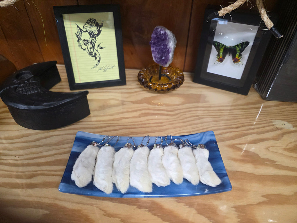 White and Tan Rabbits feet