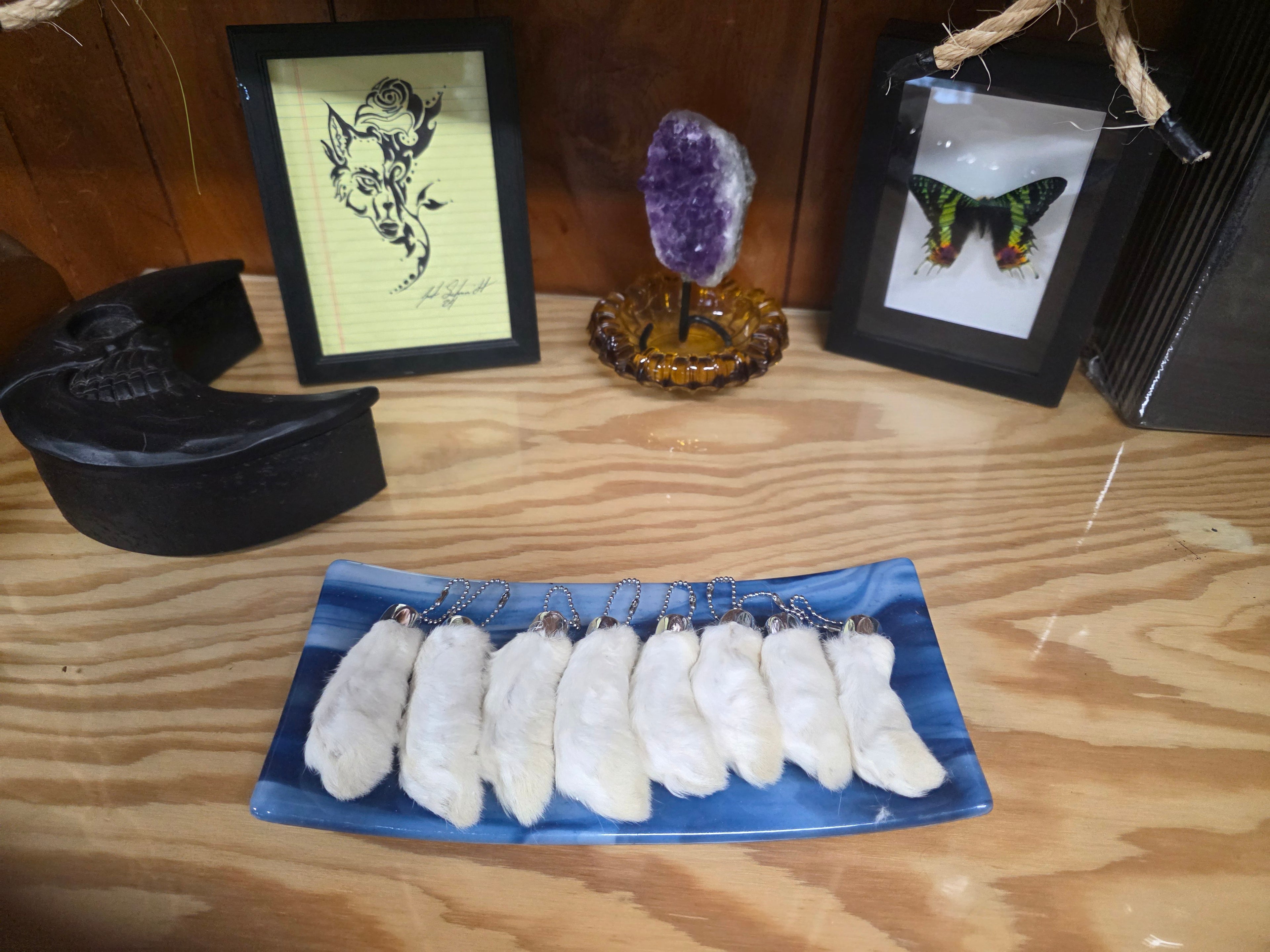 White and Tan Rabbits feet