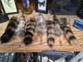 Raccoon Tail Keychain