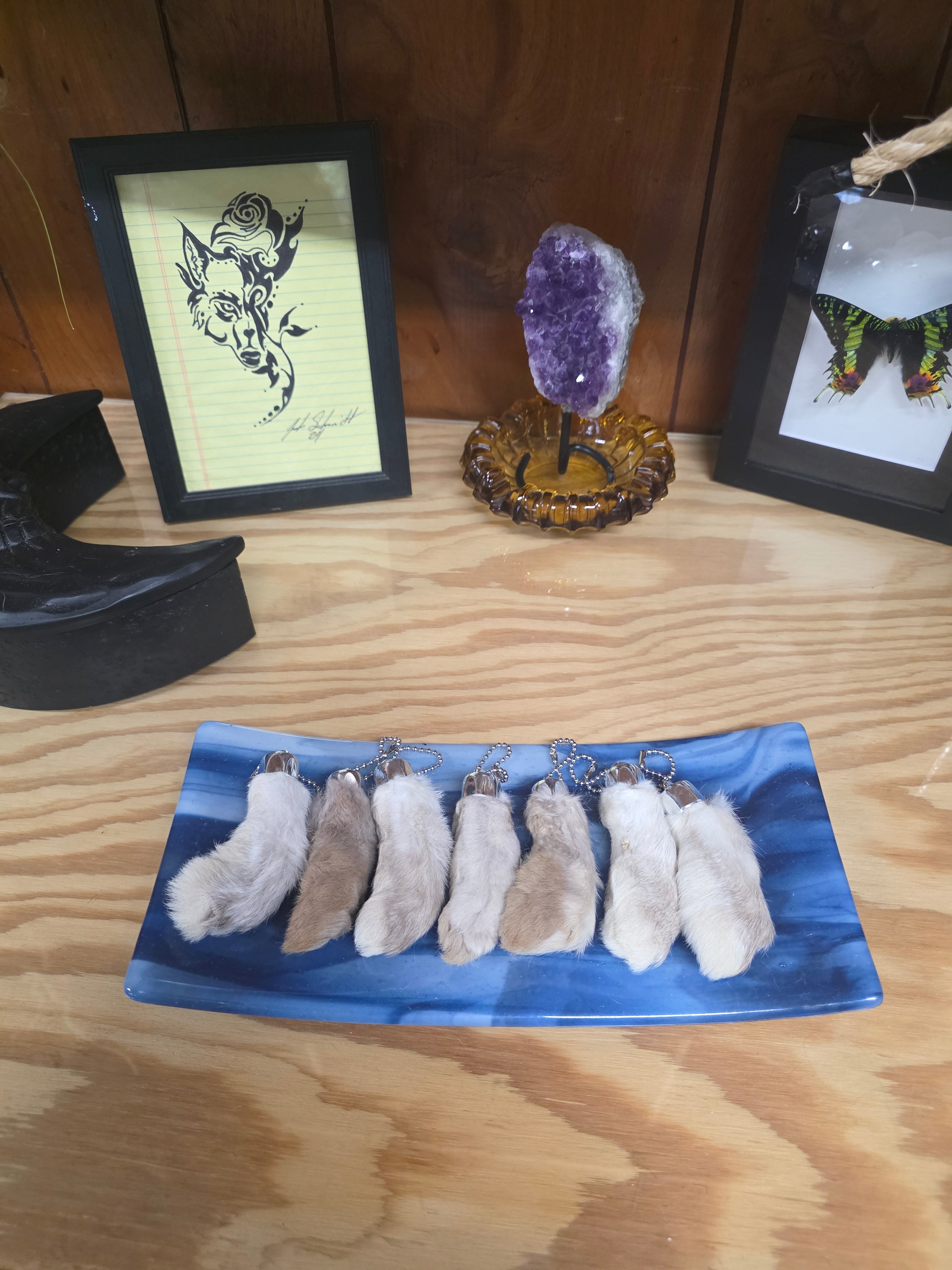 White and Tan Rabbits feet